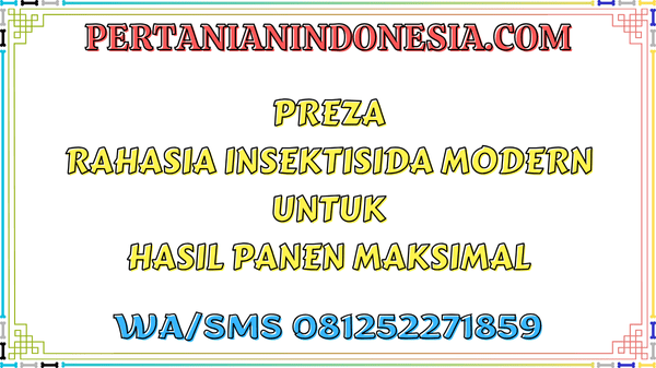 Preza Rahasia Insektisida Modern Untuk Hasil Panen Maksimal